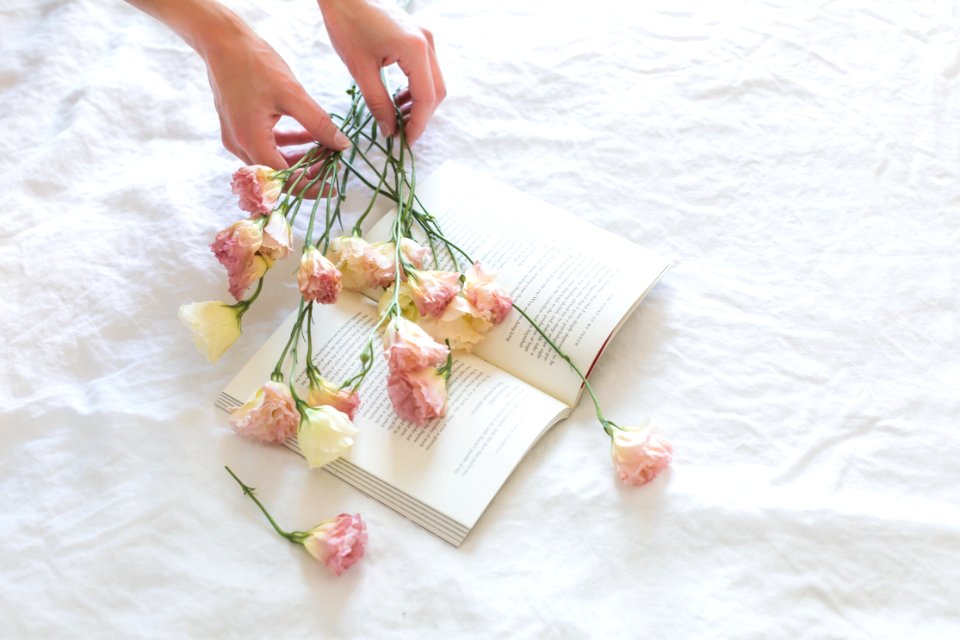 Pink-and-white Rose Flowers On White Printer Book