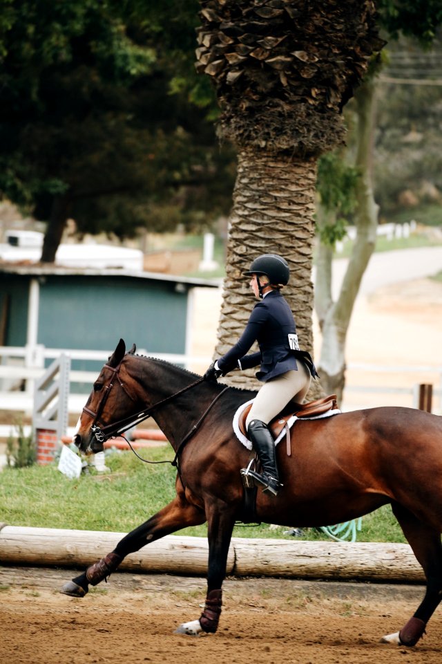 Woman Wearing Helmet Riding Horse