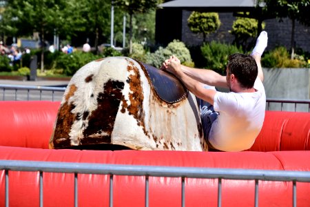 Man Riding Brown And White Electronic Bull photo