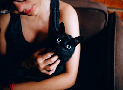 Person Carrying Black Cat photo