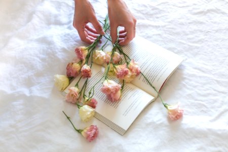 Pink-and-white Roses On Top Of Open Book Nestled On White Textile