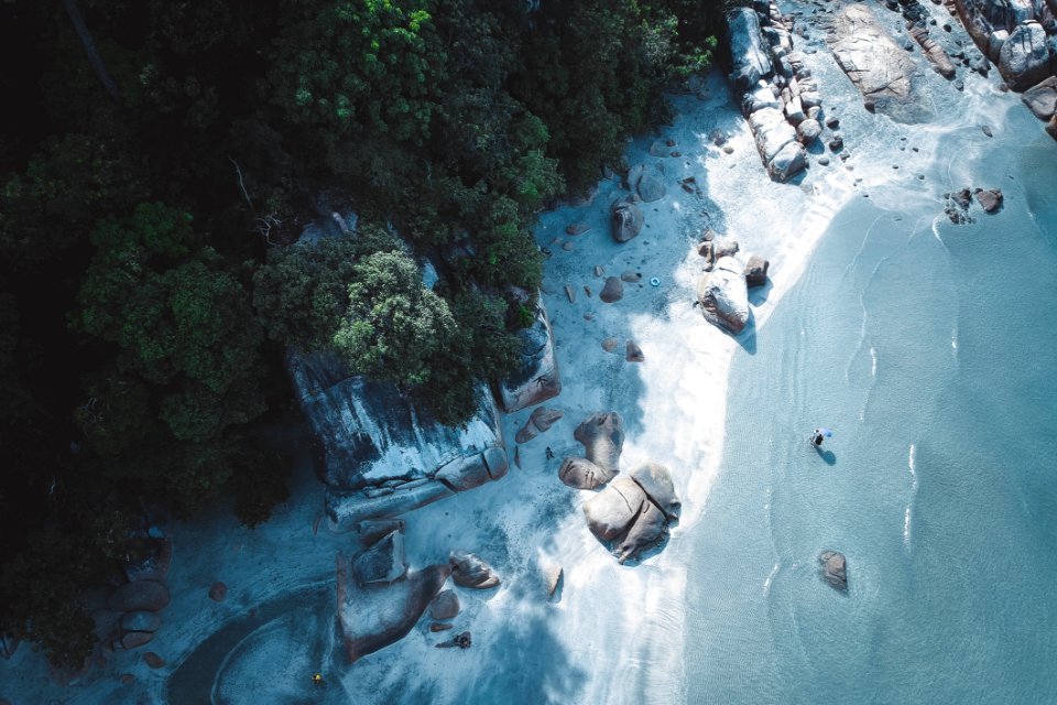 Seashore Near On Forest Trees On Birds Eye View
