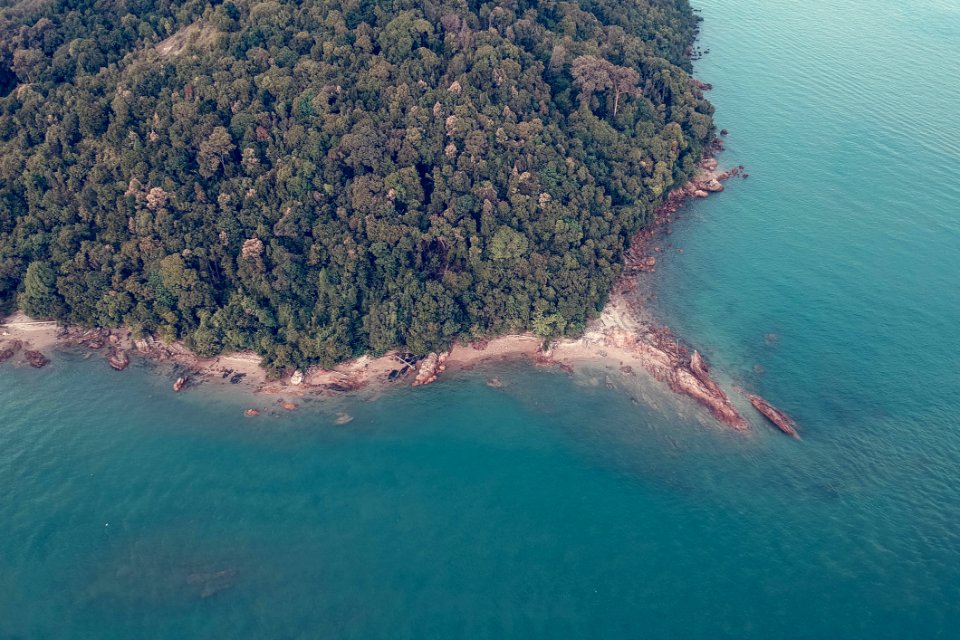 Aerial Photography Of Green Trees Near Body Of Water photo