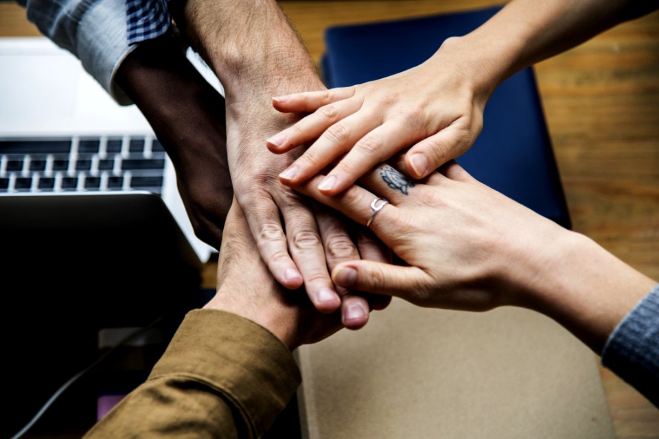 Five Person Holding Hands Together