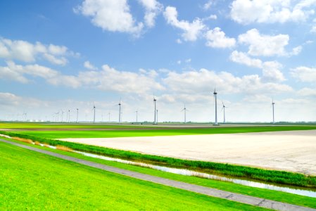 Green Field Near Wind Mills