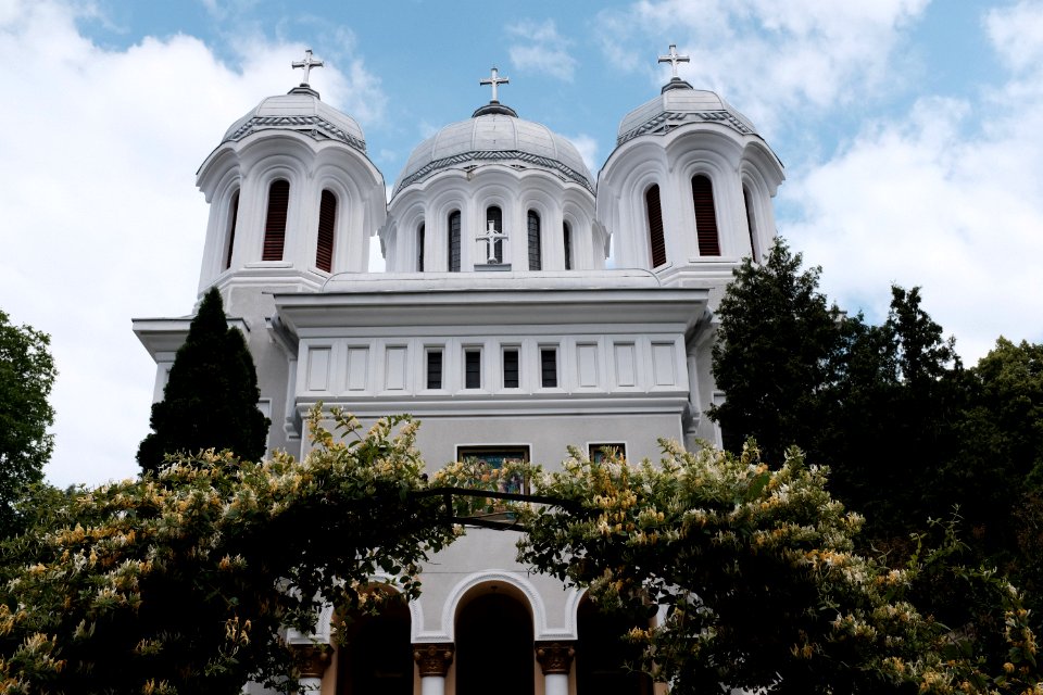 White Concrete Cathedral Near Trees