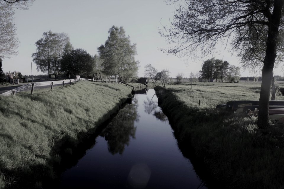 Waterway Reflection Water Tree