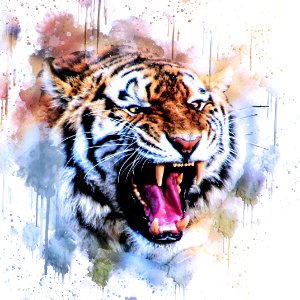 Tiger Wildlife Mammal Roar