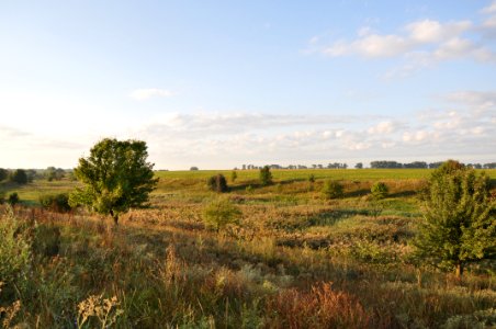 Grassland Ecosystem Prairie Plain photo
