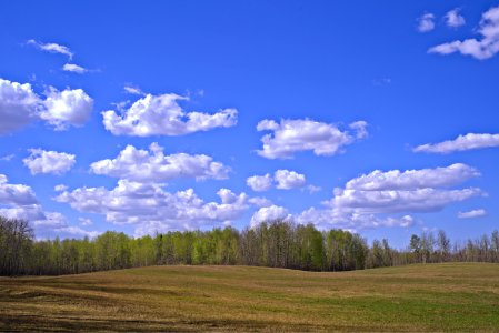 Sky Cloud Grassland Ecosystem photo