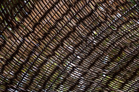 Mesh Net Pattern Texture