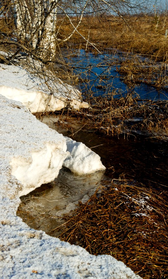 Water Stream Rock Reflection photo
