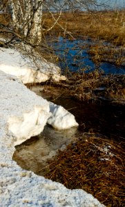 Water Stream Rock Reflection