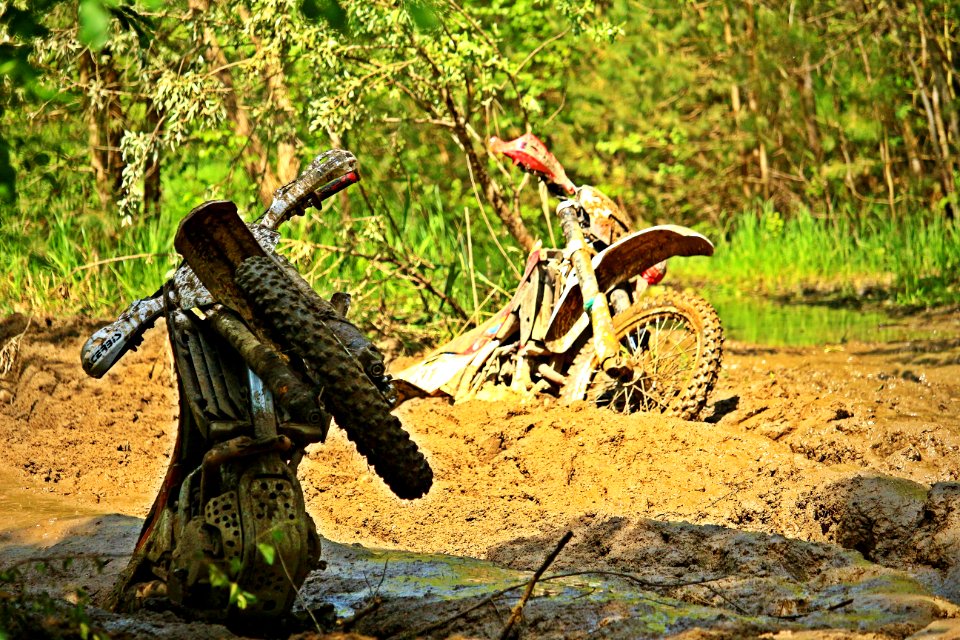 Soil Forest Jungle Grass