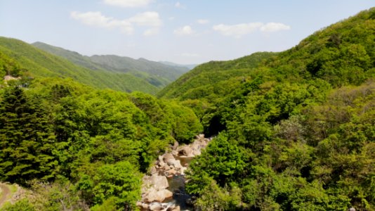 Vegetation Nature Reserve Mountainous Landforms Wilderness