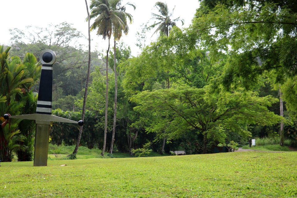 Tree Vegetation Grass Lawn