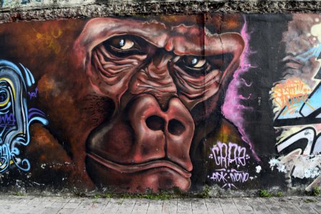 Art Graffiti Street Art Mural photo