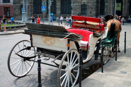 Carriage Horse And Buggy Vehicle Motor Vehicle photo