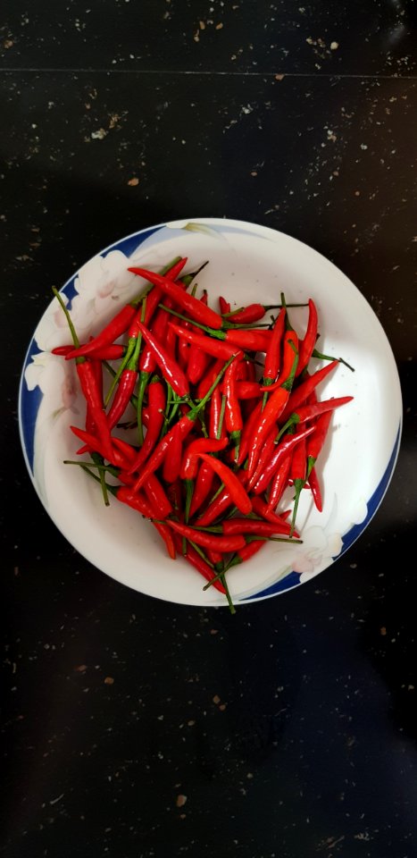 Vegetable Birds Eye Chili Bell Peppers And Chili Peppers Chili Pepper