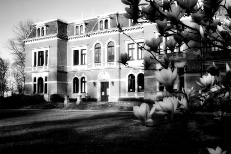 White Black And White House Monochrome Photography photo