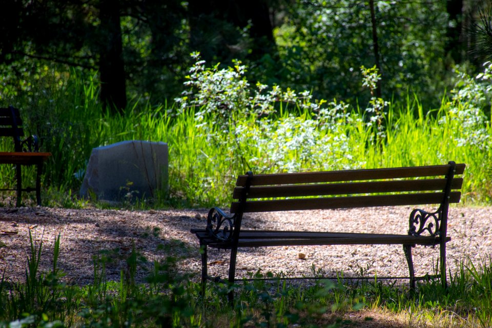 Photo Of Wooden Bench On Park