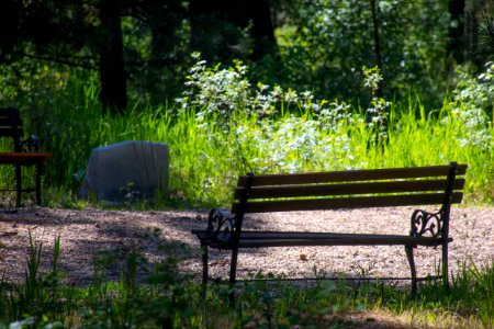 Photo Of Wooden Bench On Park photo