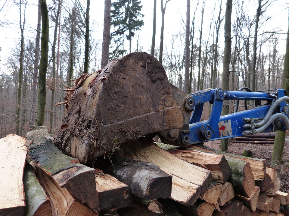 Tree cases forest work vehicle