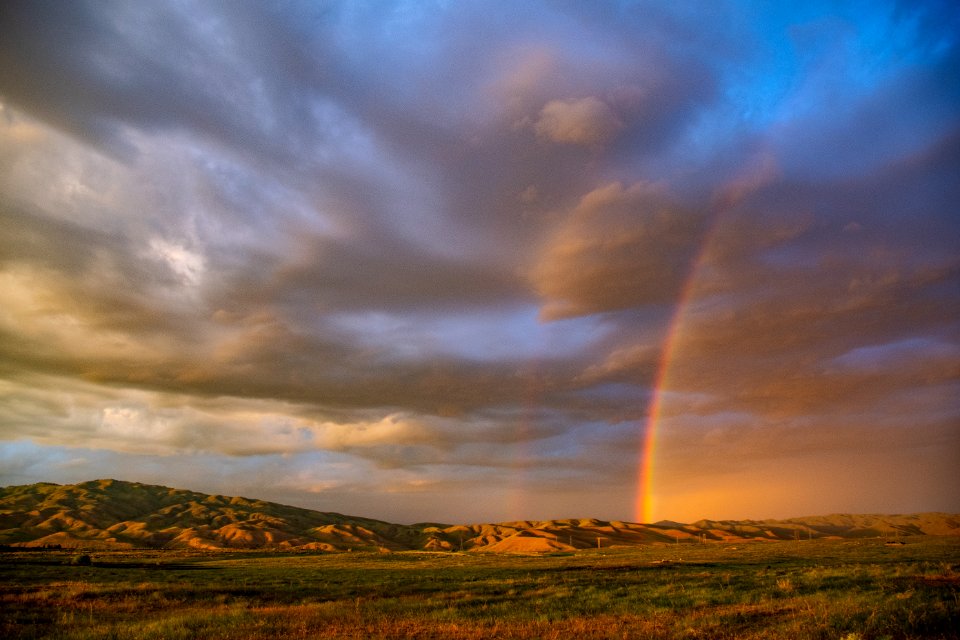 Green Grass Field During Sunset