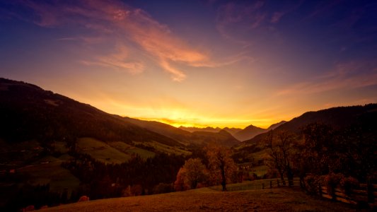 Landscape Photo Of Trees During Golden Hour photo