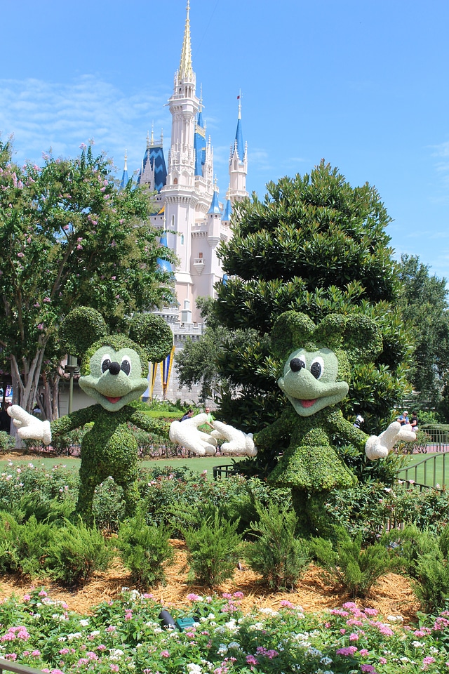 Disney world florida orlando