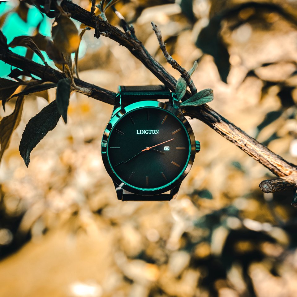 Black Lington Analog Watch With Black Leather Strap