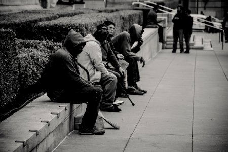 People Sitting Near The Garden photo