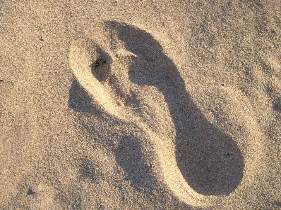 Foot prints sea photo