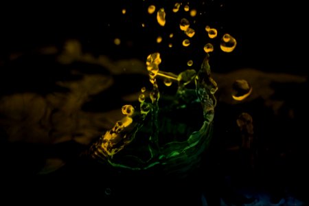 Water Darkness Organism Night