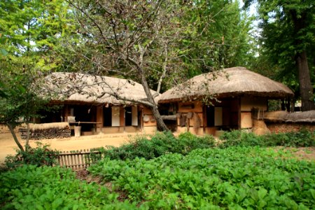 Thatching Nature Reserve Hut Cottage photo