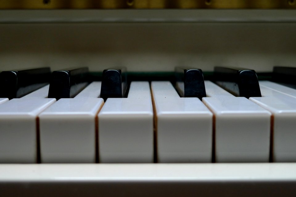 Piano Musical Instrument Keyboard Technology