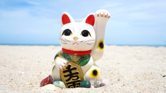 Cat Small To Medium Sized Cats Cat Like Mammal Figurine