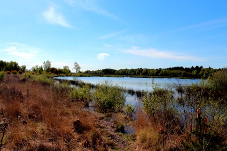 Ecosystem Wetland Nature Reserve Wilderness photo