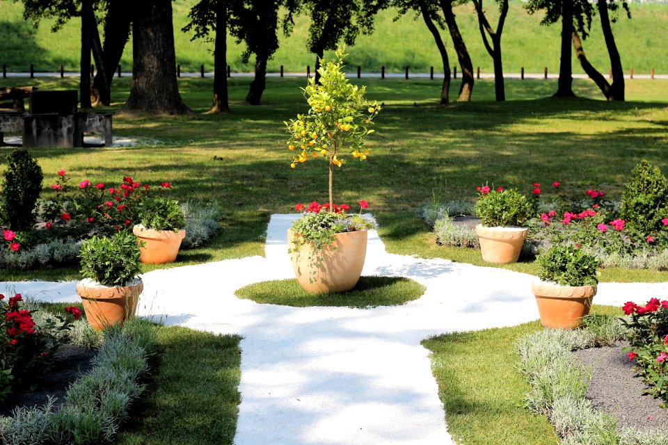 Garden Walkway Yard Flower