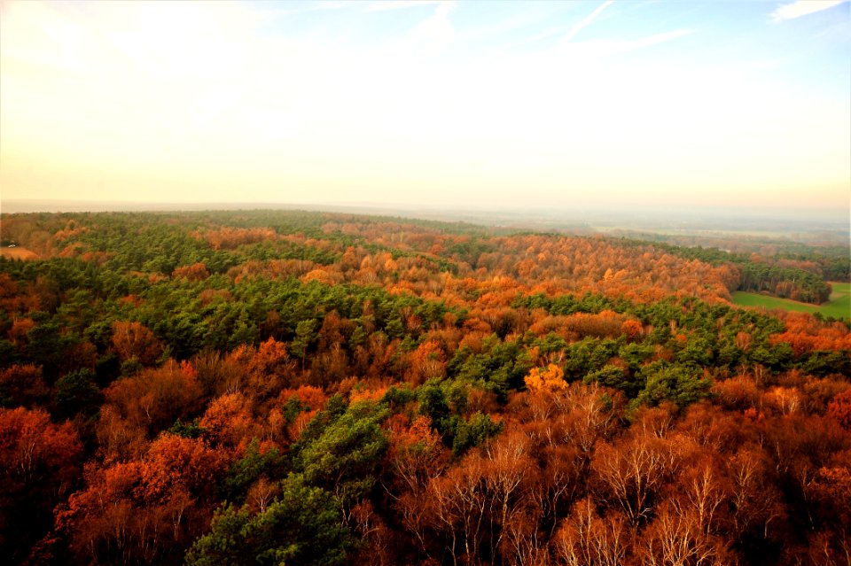 Ecosystem Sky Wilderness Vegetation