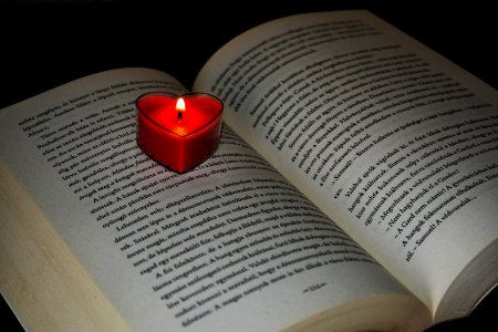 Text Font Book