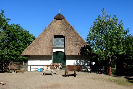 Historic Site Thatching Roof Building