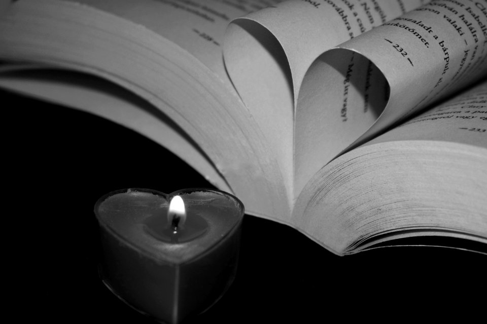 Black And White Monochrome Photography Photography Still Life Photography