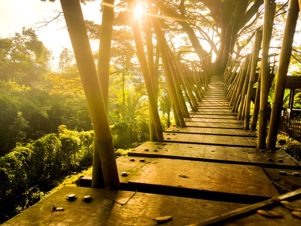 Brown Wooden Bridge Under Blue Sky