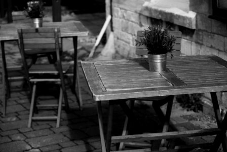 Photo Of Potted Flower On Folding Table
