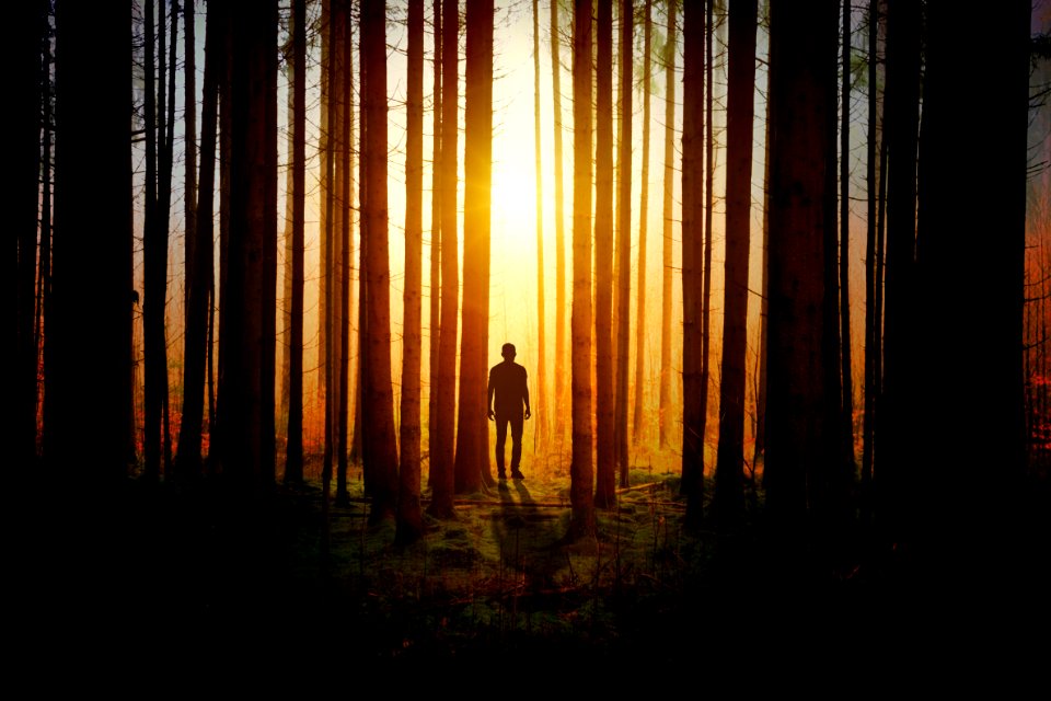Silhouette Of A Man During Sunset