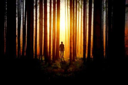 Silhouette Of A Man During Sunset