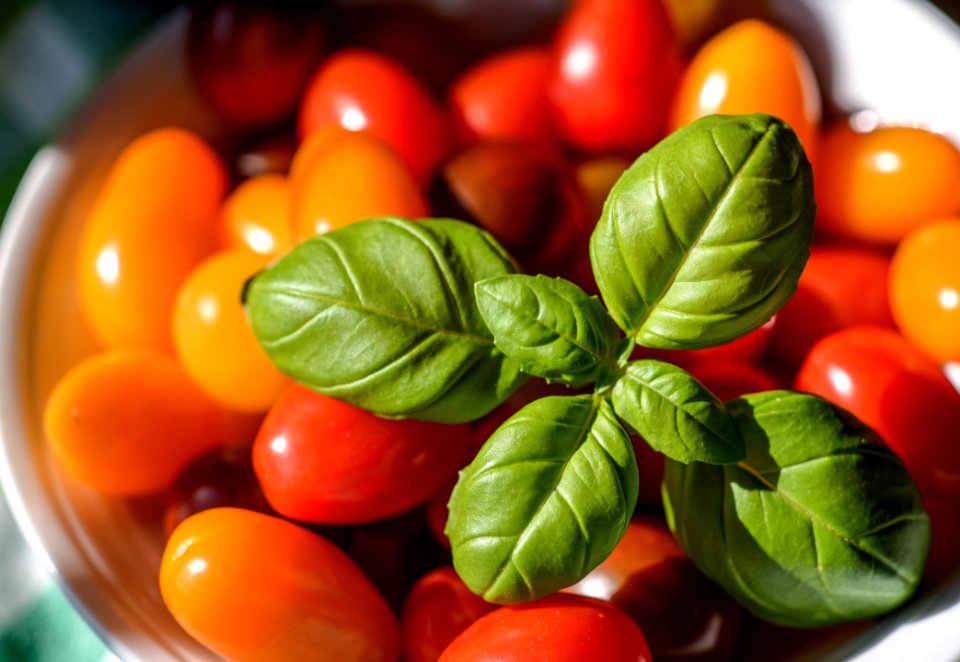 Photo Of Assorted-color Tomatoes