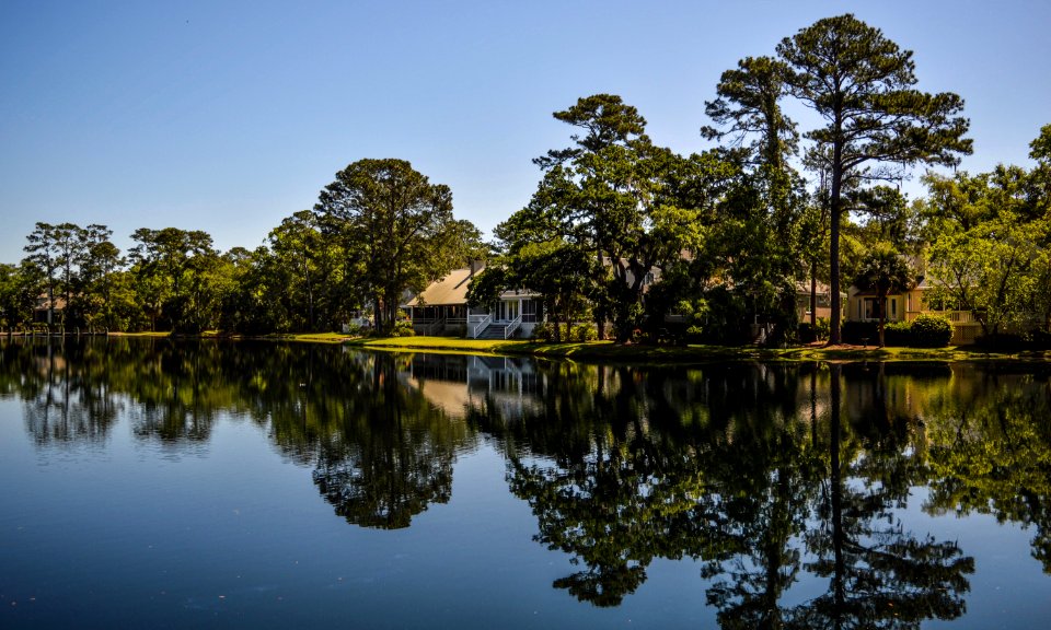 Water Between Trees Photo