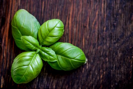 Green Leaf Plant On Brown Wooden Surface photo